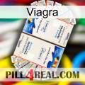 Viagra kamagra1
